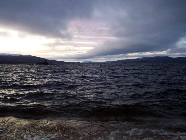 �������